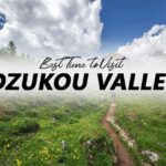 Best Time to Visit Dzukou Valley